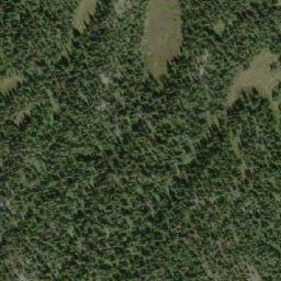 Satellite imagery of Lizard Head Mountain, CA