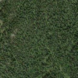Satellite imagery of Lizard Head Mountain, CA