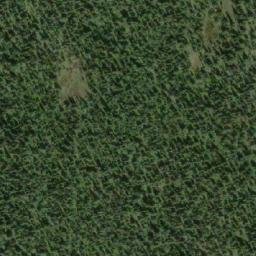 Satellite imagery of Lizard Head Mountain, CA