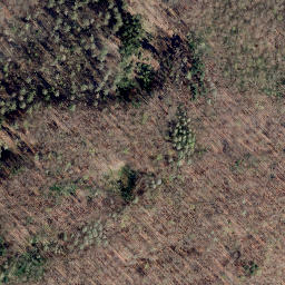 Satellite imagery of Wüllenberg, DE
