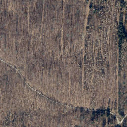 Satellite imagery of Buchenberg, DE