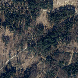 Satellite imagery of Buchenberg, DE