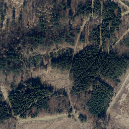 Satellite imagery of Buchenberg, DE