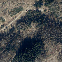 Satellite imagery of Münsterkopf, DE