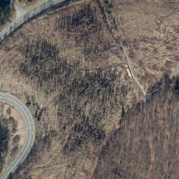 Satellite imagery of Münsterkopf, DE