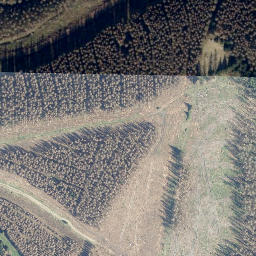 Satellite imagery of Steinberg, DE
