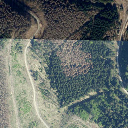 Satellite imagery of Quitschenberg, DE