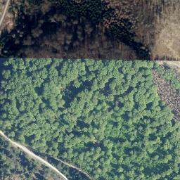Satellite imagery of Quitschenberg, DE