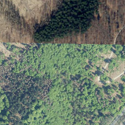 Satellite imagery of Quitschenberg, DE