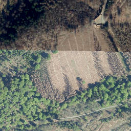 Satellite imagery of Hühnerkopf, DE