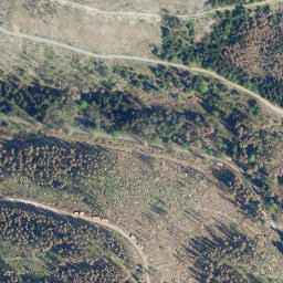 Satellite imagery of Wolfskopf, DE