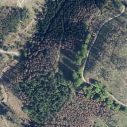 Satellite imagery of Wolfskopf, DE