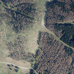 Satellite imagery of Wolfskopf, DE