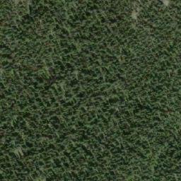 Satellite imagery of Lizard Head Mountain, CA