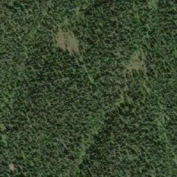 Satellite imagery of Lizard Head Mountain, CA