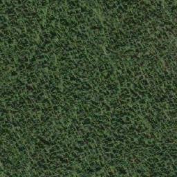 Satellite imagery of Lizard Head Mountain, CA