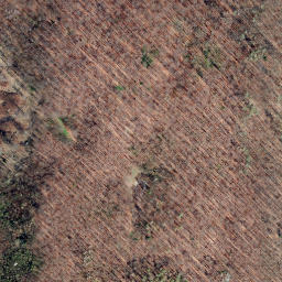 Satellite imagery of Schmandberg, DE