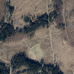 Satellite imagery of Buchenberg, DE