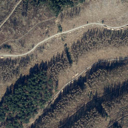 Satellite imagery of Münsterkopf, DE
