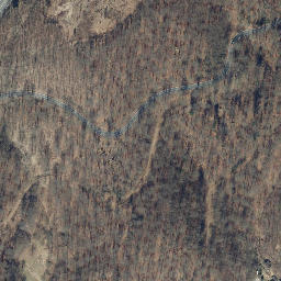 Satellite imagery of Münsterkopf, DE