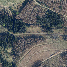 Satellite imagery of Wolfskopf, DE