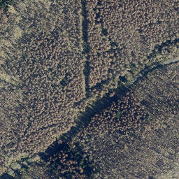 Satellite imagery of Sonnenkopf, DE