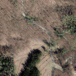 Satellite imagery of Kneppen, DE