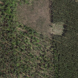 Satellite imagery of survey_point, DE