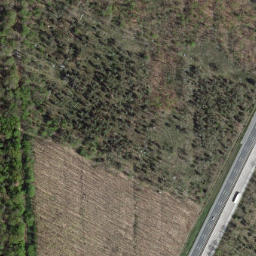 Satellite imagery of survey_point, DE