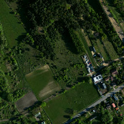 Satelita