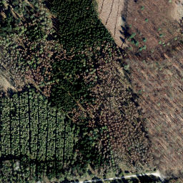 Satellite imagery of Kneppen, DE