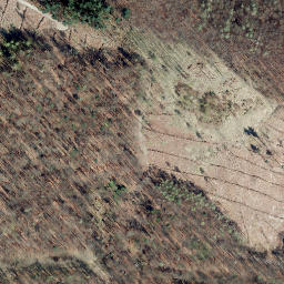 Satellite imagery of Kneppen, DE