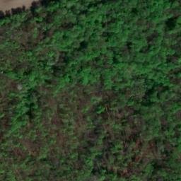 Satellite imagery of Diestedder Berg, DE