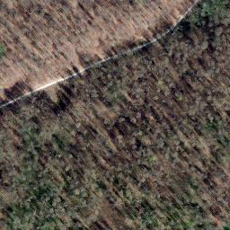 Satellite imagery of Saurenberg, DE