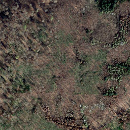 Satellite imagery of Saurenberg, DE