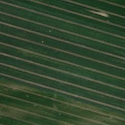 Satellite imagery of Steinberg, DE