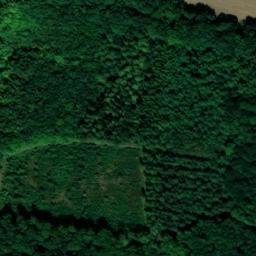 Satellite imagery of Great Widmoor Wood, GB