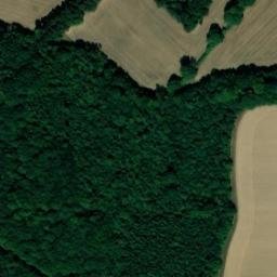 Satellite imagery of Great Widmoor Wood, GB