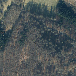 Satellite imagery of Großer Ohrenberg, DE