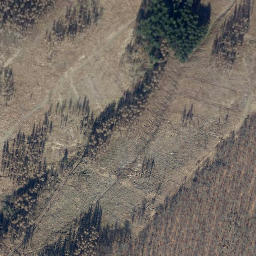 Satellite imagery of Bärenkopf, DE