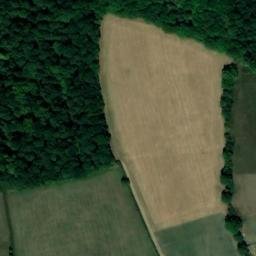 Satellite imagery of Great Widmoor Wood, GB