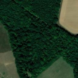 Satellite imagery of Great Widmoor Wood, GB