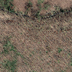 Satellite imagery of Saurenberg, DE