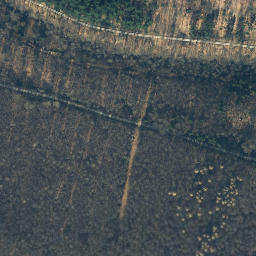 Satellite imagery of Wakeborn, DE