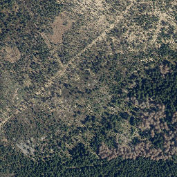 Satellite imagery of Auf dem Acker, DE