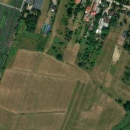 Satelita