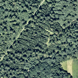 Satellite imagery of Schloß Lembeck, DE