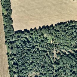 Satellite imagery of Schloß Lembeck, DE