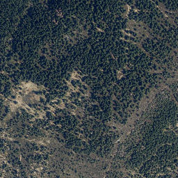 Satellite imagery of Auf dem Acker, DE