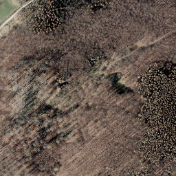 Satellite imagery of Mühlenberg, DE